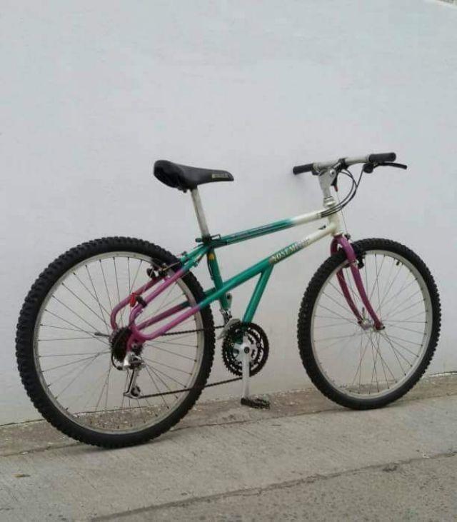 Twin hot sale peaks mtb