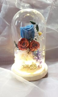 (Category: ) located in . Submitted by theflowerdome (Listing ID 1097477856, Image 1). Description: .