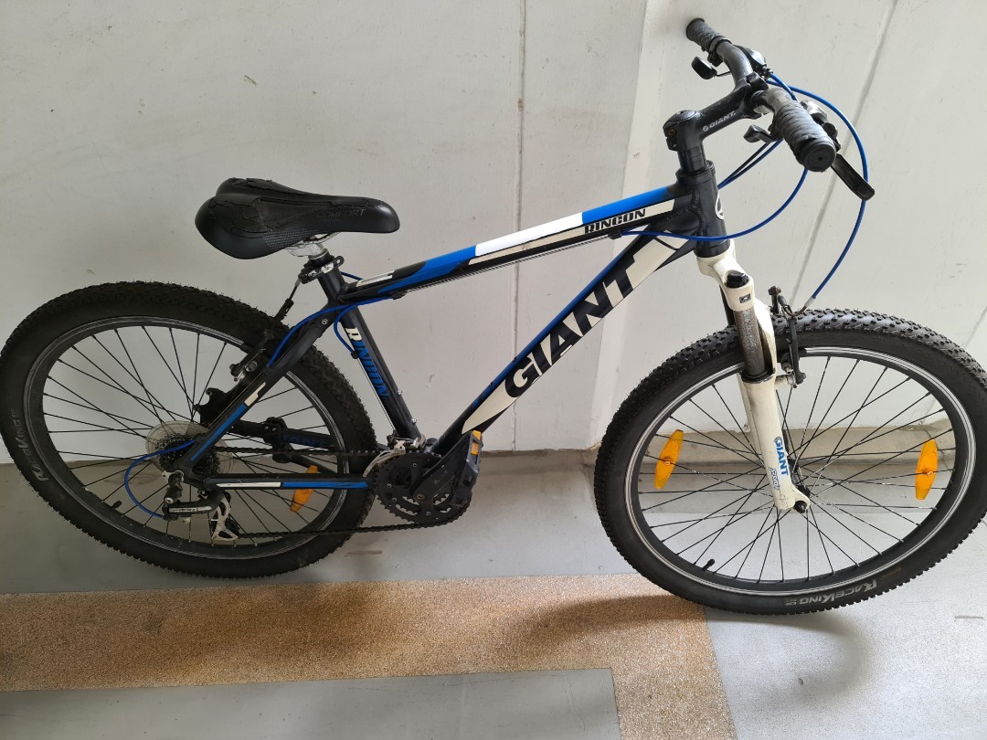 Giant rincon 26 2025