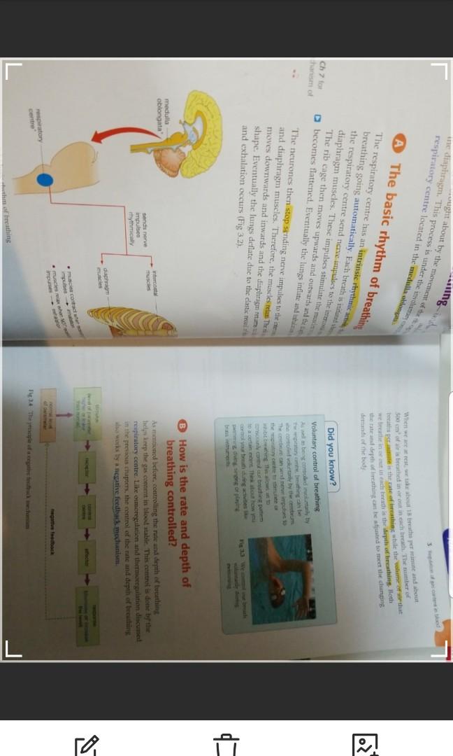 Mastering Biology E1 human physiology, 興趣及遊戲, 書本 & 文具, 教科書 - Carousell