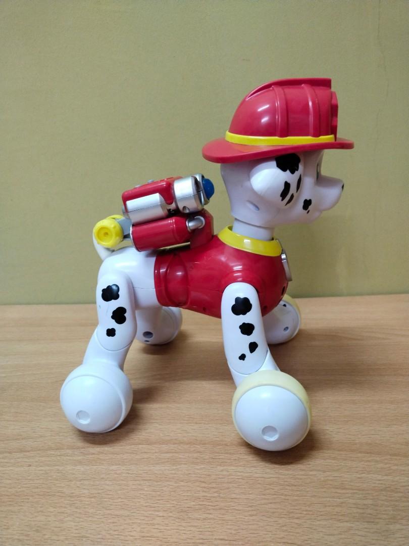 Marshall clearance interactive pup