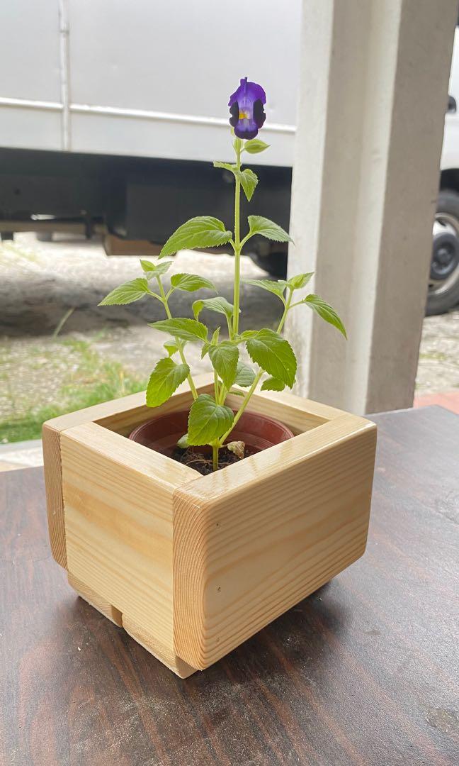 Small wooden planter box for 4” pot, Furniture & Home Living, Gardening