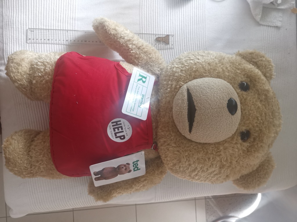 Ted talking discount bear 24 inch