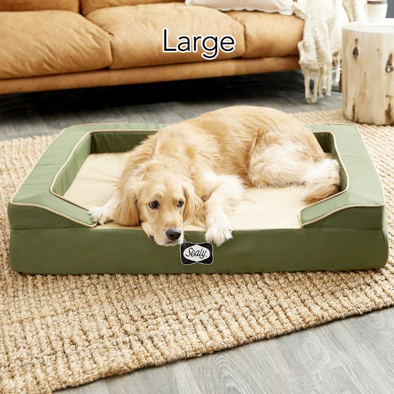 Sealy Lux Premium Memory Foam Dog Bed Small