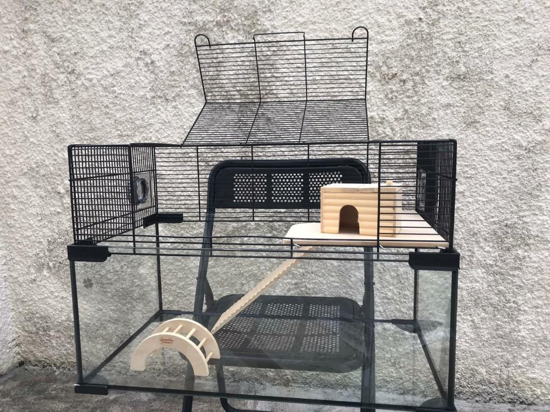 aesthetic hamster cage
