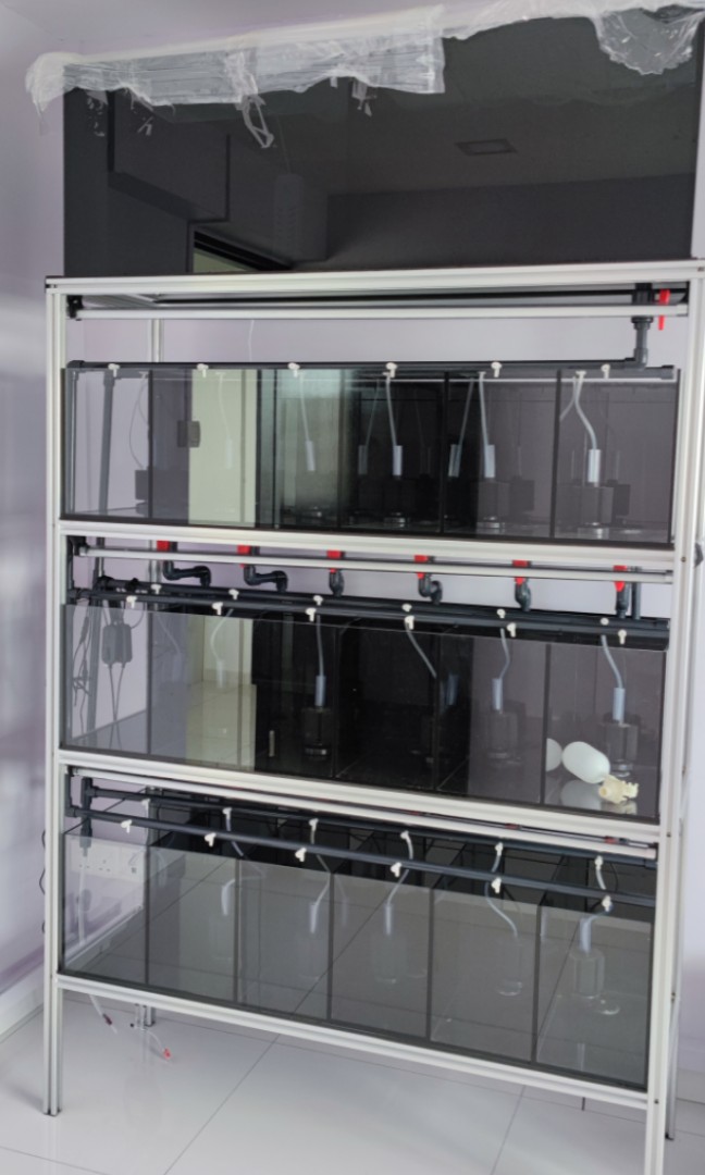 Fish tank rack system for sale on sale