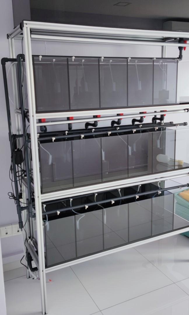 Betta / Guppy Multilevel Rack Tank System / Complete Fish Tank System, Furniture & Home Living