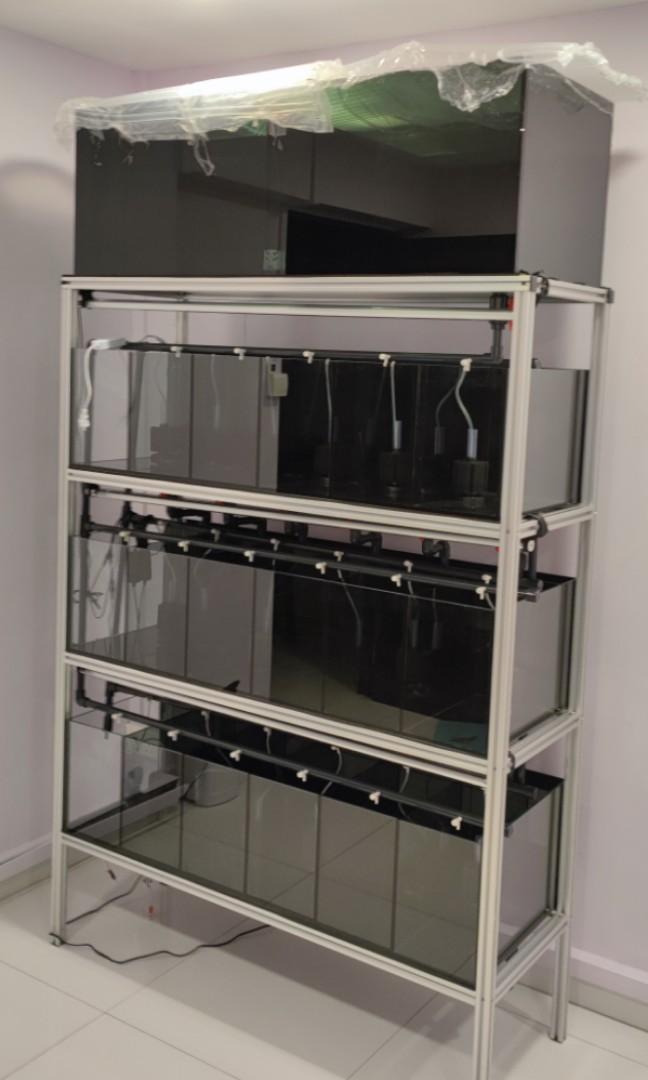 Betta / Guppy Multilevel Rack Tank System / Complete Fish Tank System, Furniture & Home Living