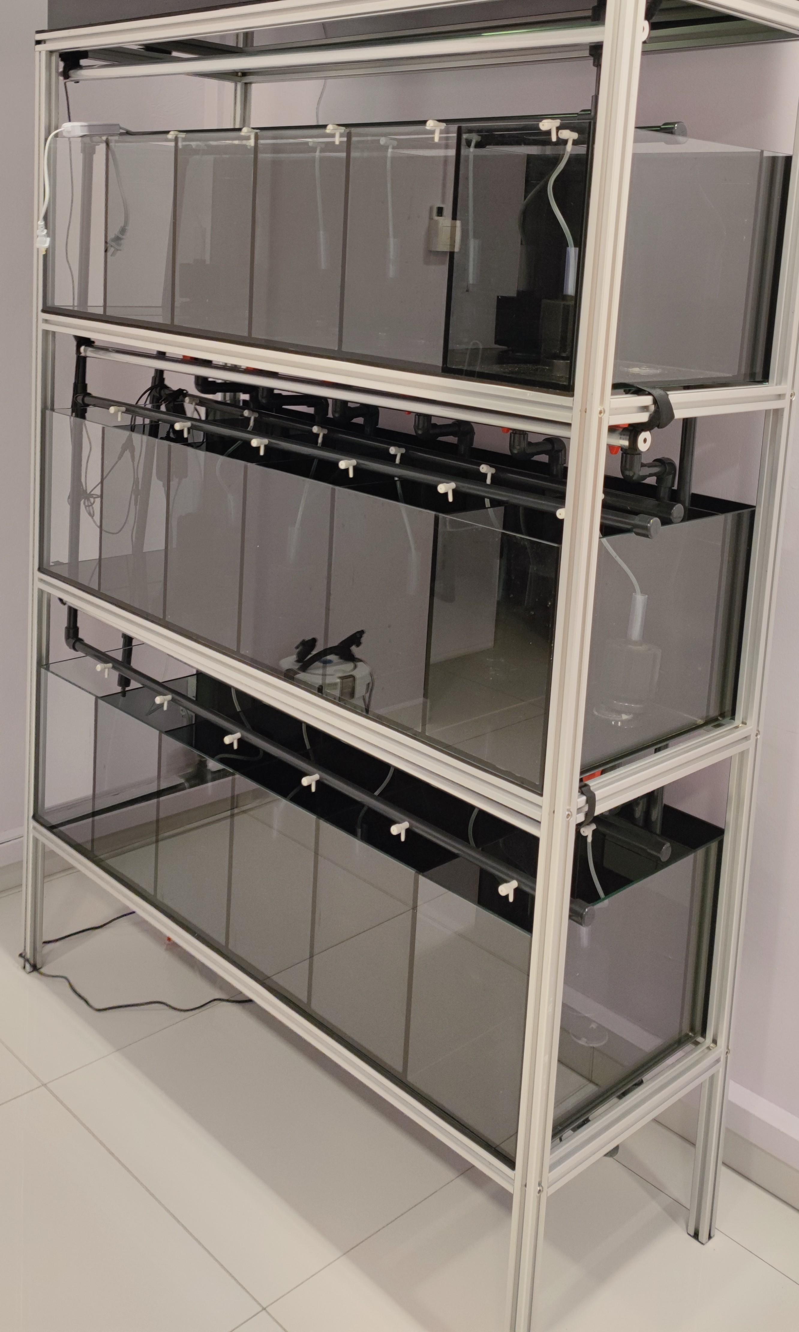 Betta / Guppy Multilevel Rack Tank System / Complete Fish Tank System