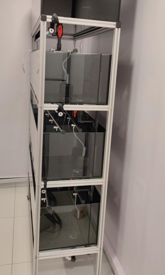 Betta / Guppy Multilevel Rack Tank System / Complete Fish Tank System, Furniture & Home Living