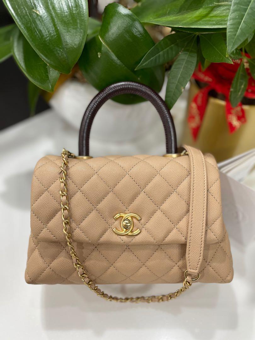 Chanel Mini / Small Coco Top Handle Beige Caviar GHW with Burgundy Lizard  Handle, Luxury, Bags & Wallets on Carousell