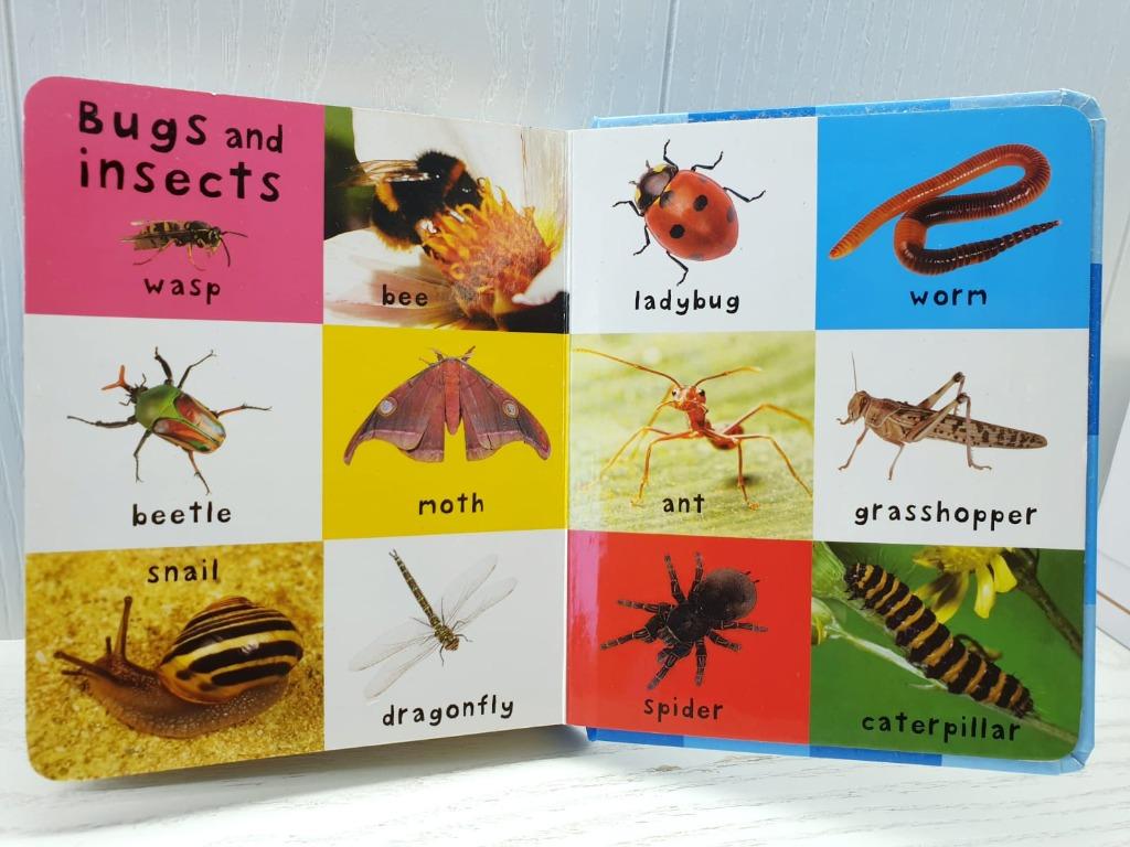 First 100 Animals Board Book Priddy Baby Hobbies Toys Books