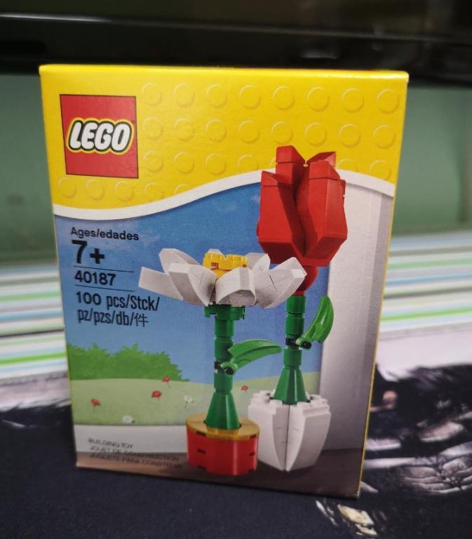 LEGO 40187 Flower Display review