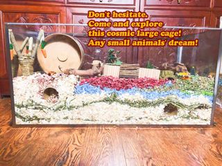 (Category: ) located in . Submitted by always_uniquely (Listing ID 1091906129, Image 1). Description: .