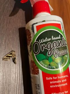 (Category: ) located in . Submitted by LurveByMM (Listing ID 1091844373, Image 1). Description: .