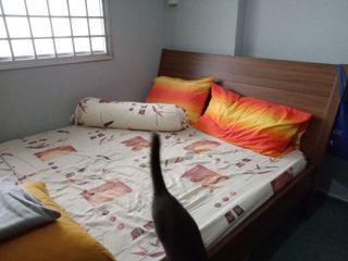 (Category: ) located in . Submitted by sabhan (Listing ID 1091796748, Image 1). Description: .