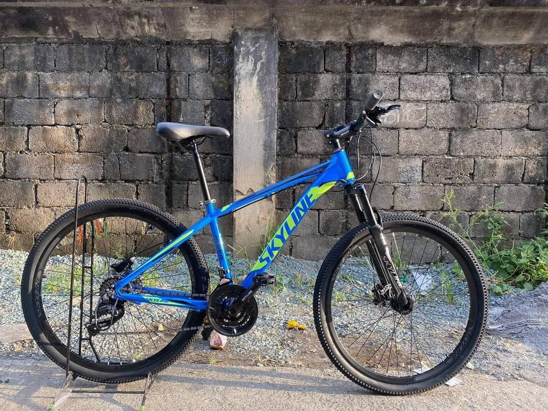 Skyline Bike Made In 2024 favors