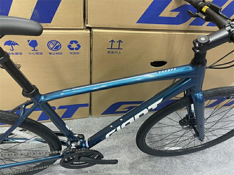 2022 GIANT ESCAPE 1 HYBRID BICYCLE 