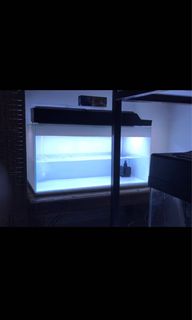 (Category: ) located in . Submitted by kawanburung (Listing ID 1097622286, Image 1). Description: .