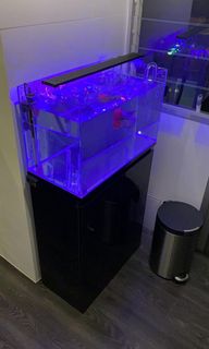 (Category: ) located in . Submitted by dlbx88 (Listing ID 1097700826, Image 1). Description: .