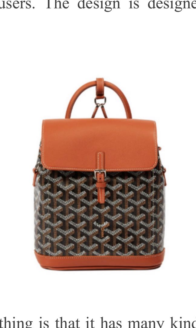 Goyard Alpin Mini Backpack, Luxury, Bags & Wallets on Carousell