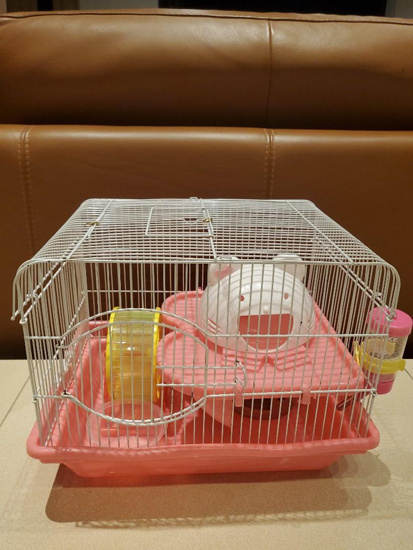Free hamster cheap stuff