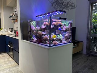(Category: ) located in . Submitted by beech80 (Listing ID 1097650650, Image 1). Description: .