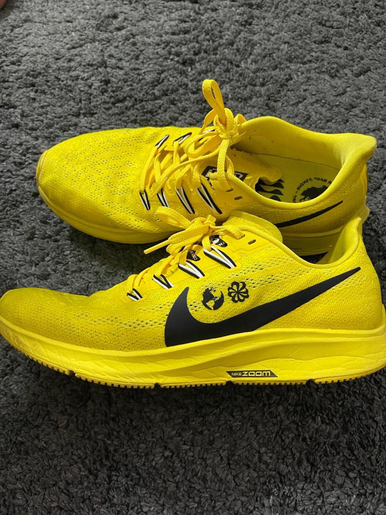 zappos nike air pegasus