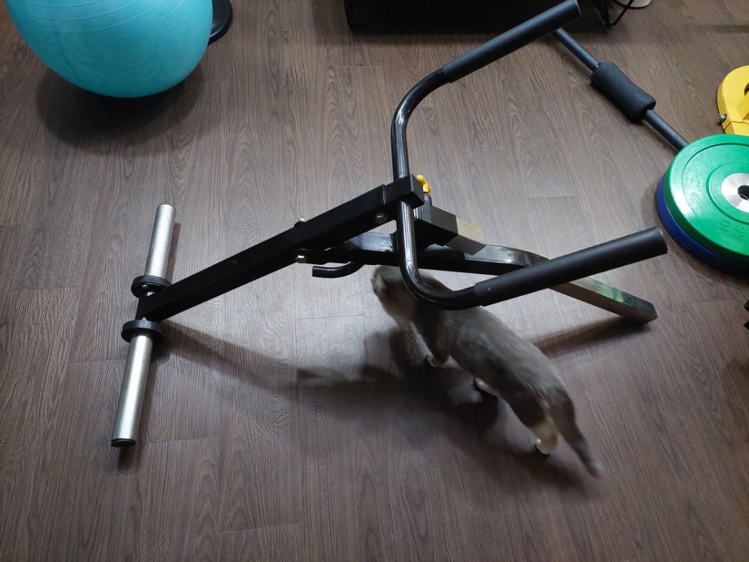 Powertec dip attachment new arrivals