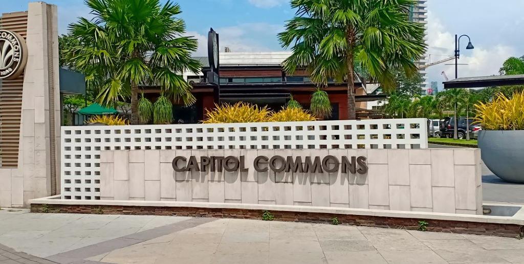 Royalton 45sqm Studio Unit w/parking Capitol Commons Pasig, Property