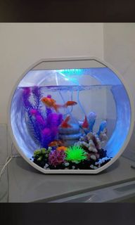 (Category: ) located in . Submitted by adrian.chen (Listing ID 1097403850, Image 1). Description: .