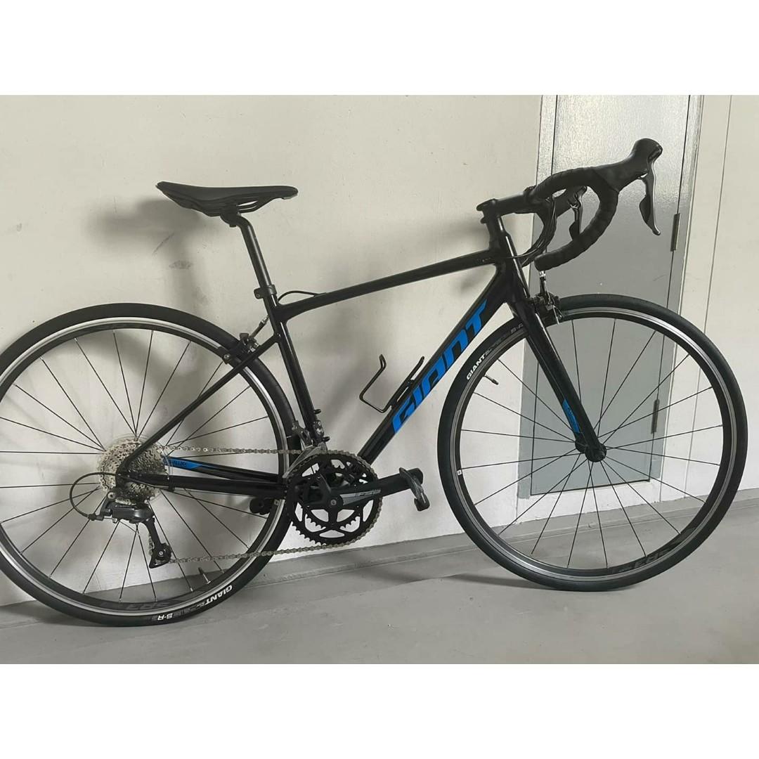 Giant contend 2 2021 hotsell
