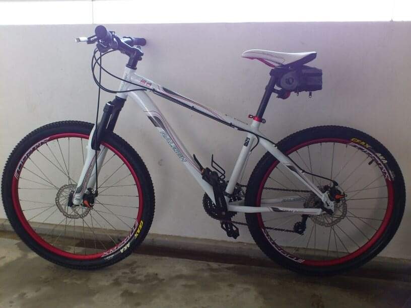 White top raleigh bike