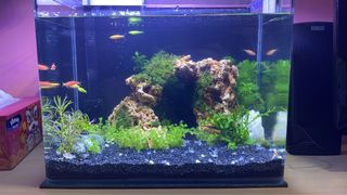 (Category: ) located in . Submitted by ooohey (Listing ID 1092021850, Image 1). Description: .