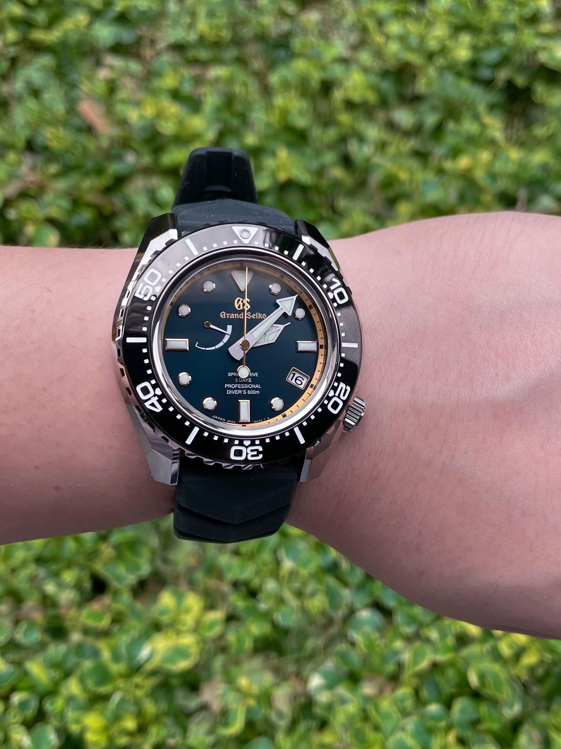 grand seiko diver The Best International Exporter of Fresh Indian Grapes and Produce