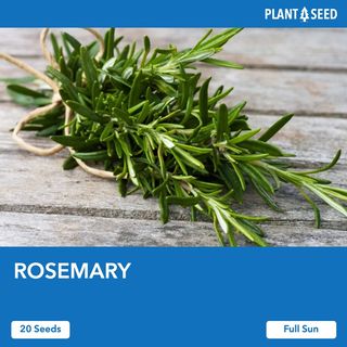(Category: ) located in . Submitted by plantaseed (Listing ID 1092104713, Image 1). Description: .