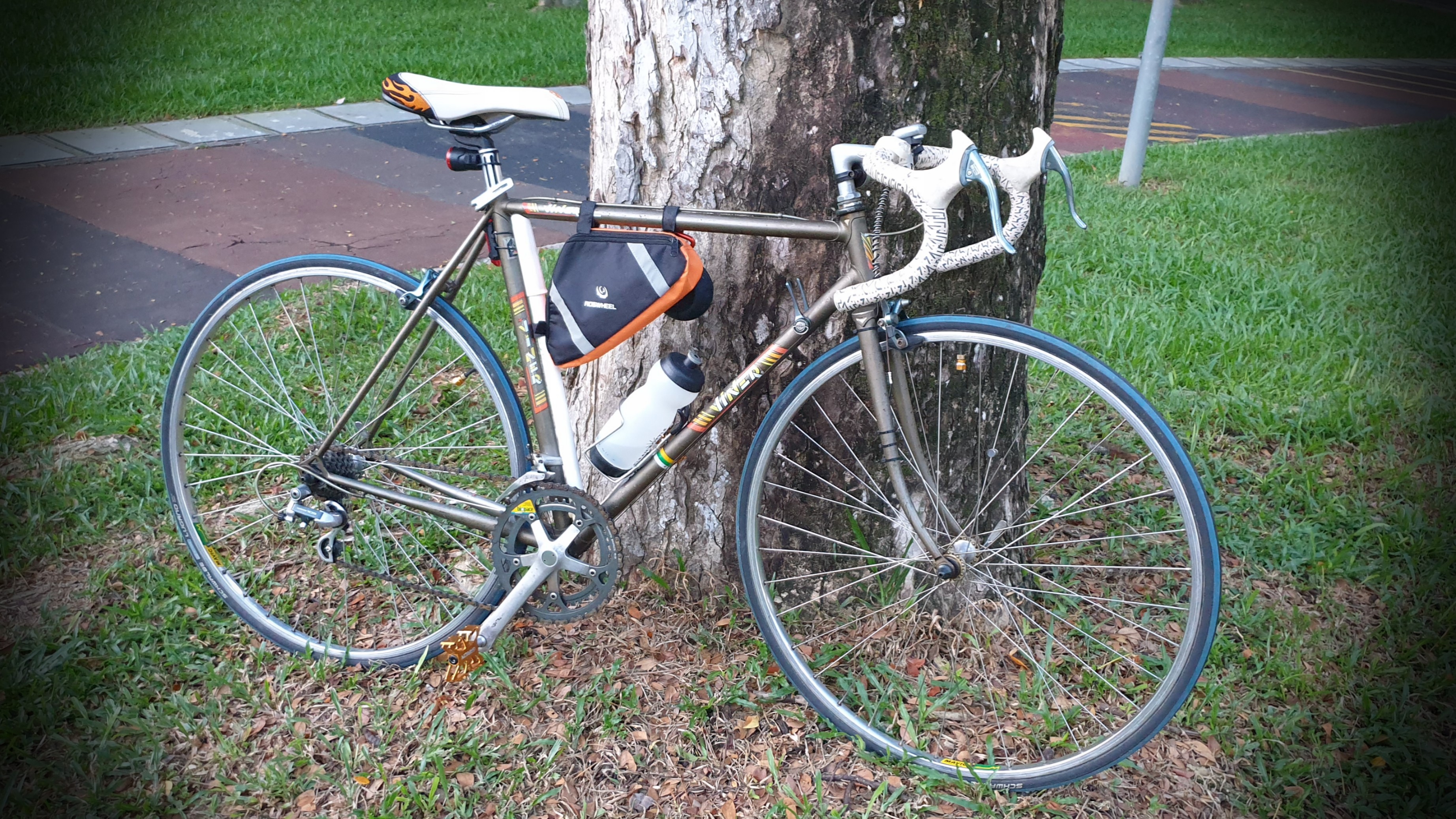Viner hot sale tt bike