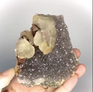(Category: ) located in . Submitted by pie.gems (Listing ID 1092182955, Image 1). Description: .