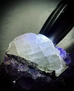 (Category: ) located in . Submitted by pie.gems (Listing ID 1092185159, Image 1). Description: .