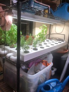 (Category: ) located in . Submitted by dandanmic (Listing ID 1092189927, Image 1). Description: .