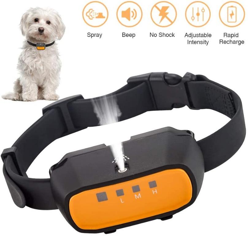 Beep collar clearance