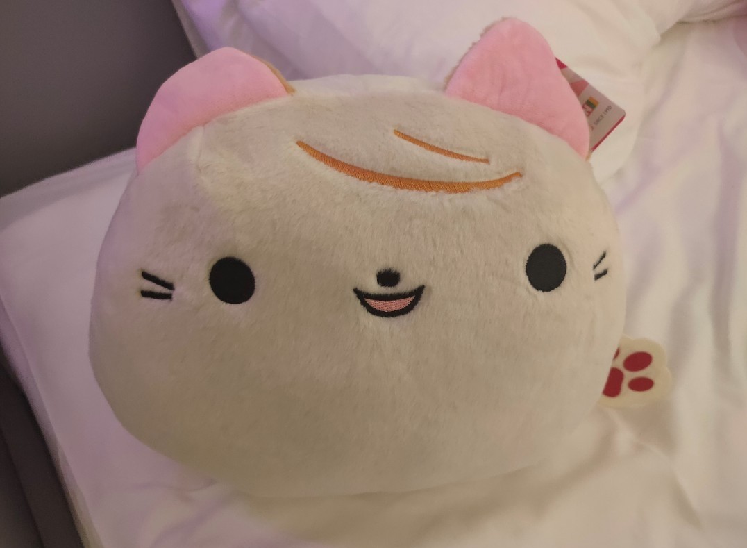 milk cat plush