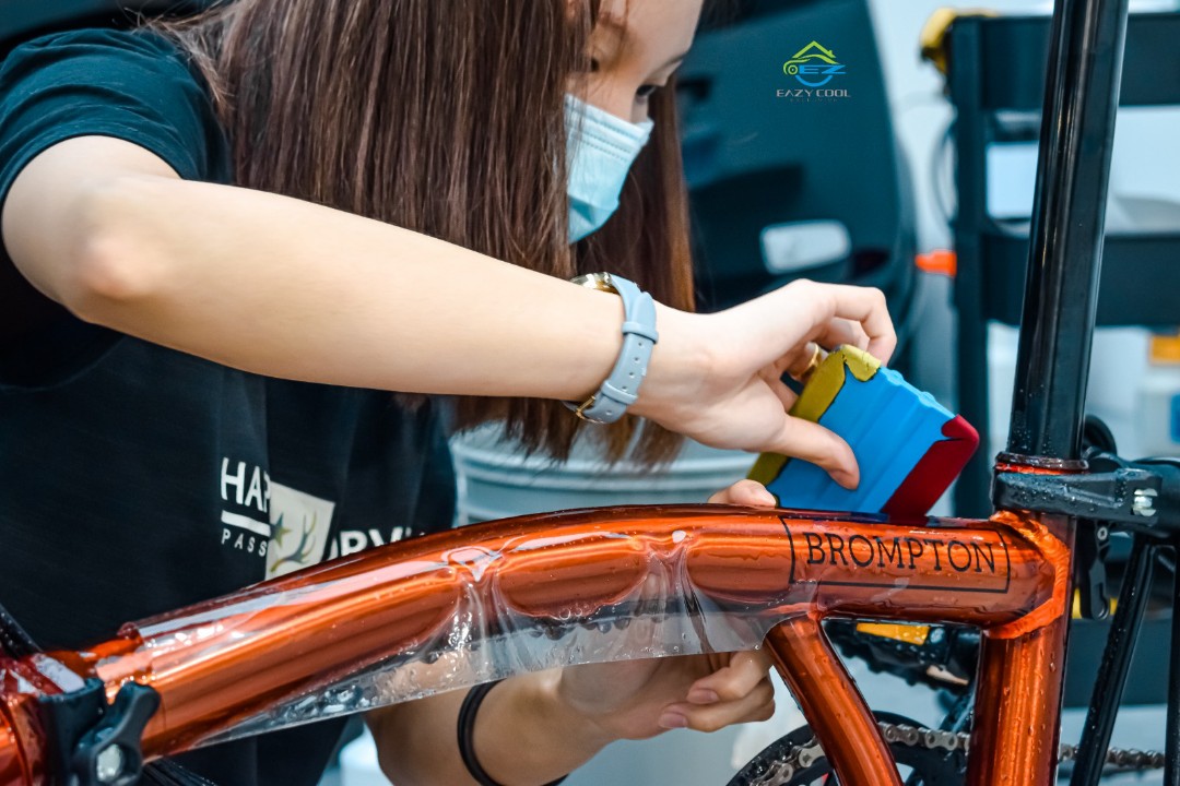 Bicycle paint protection cheap