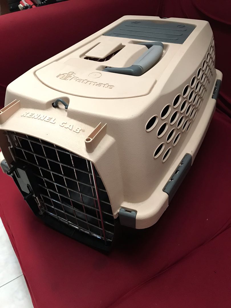 Petmate Pet crate, Pet Supplies, Homes & Other Pet Accessories on Carousell