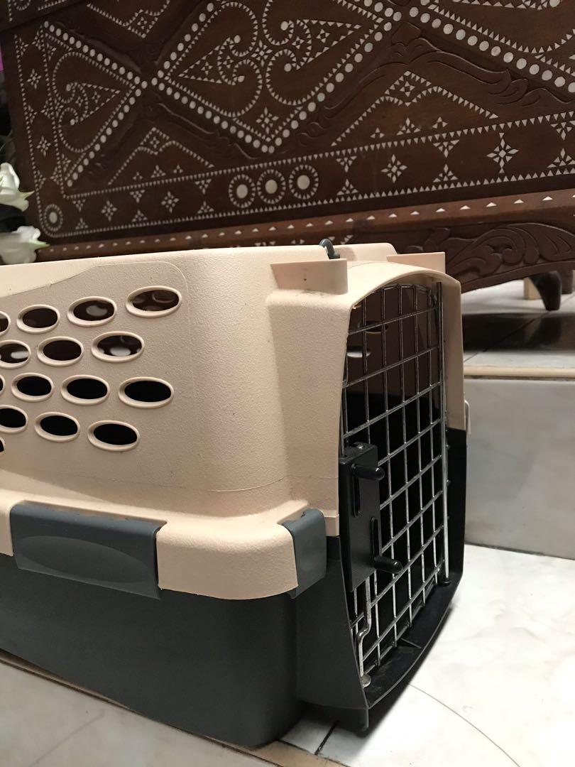 Petmate Pet crate, Pet Supplies, Homes & Other Pet Accessories on Carousell