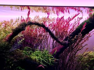 (Category: ) located in . Submitted by sky2307 (Listing ID 1092298203, Image 1). Description: .