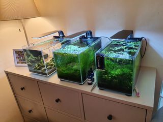 (Category: ) located in . Submitted by en7jos (Listing ID 1092259593, Image 1). Description: .