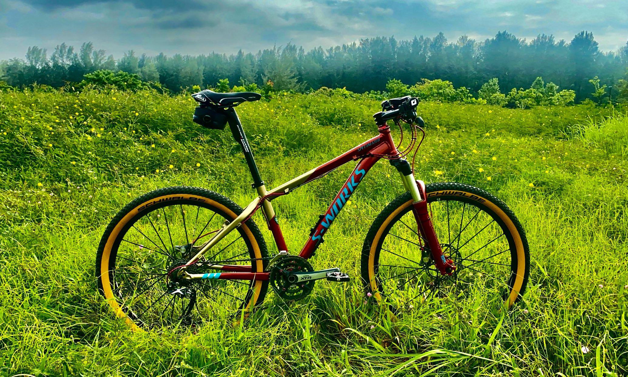 Specialized stumpjumper m5 hardtail 2025