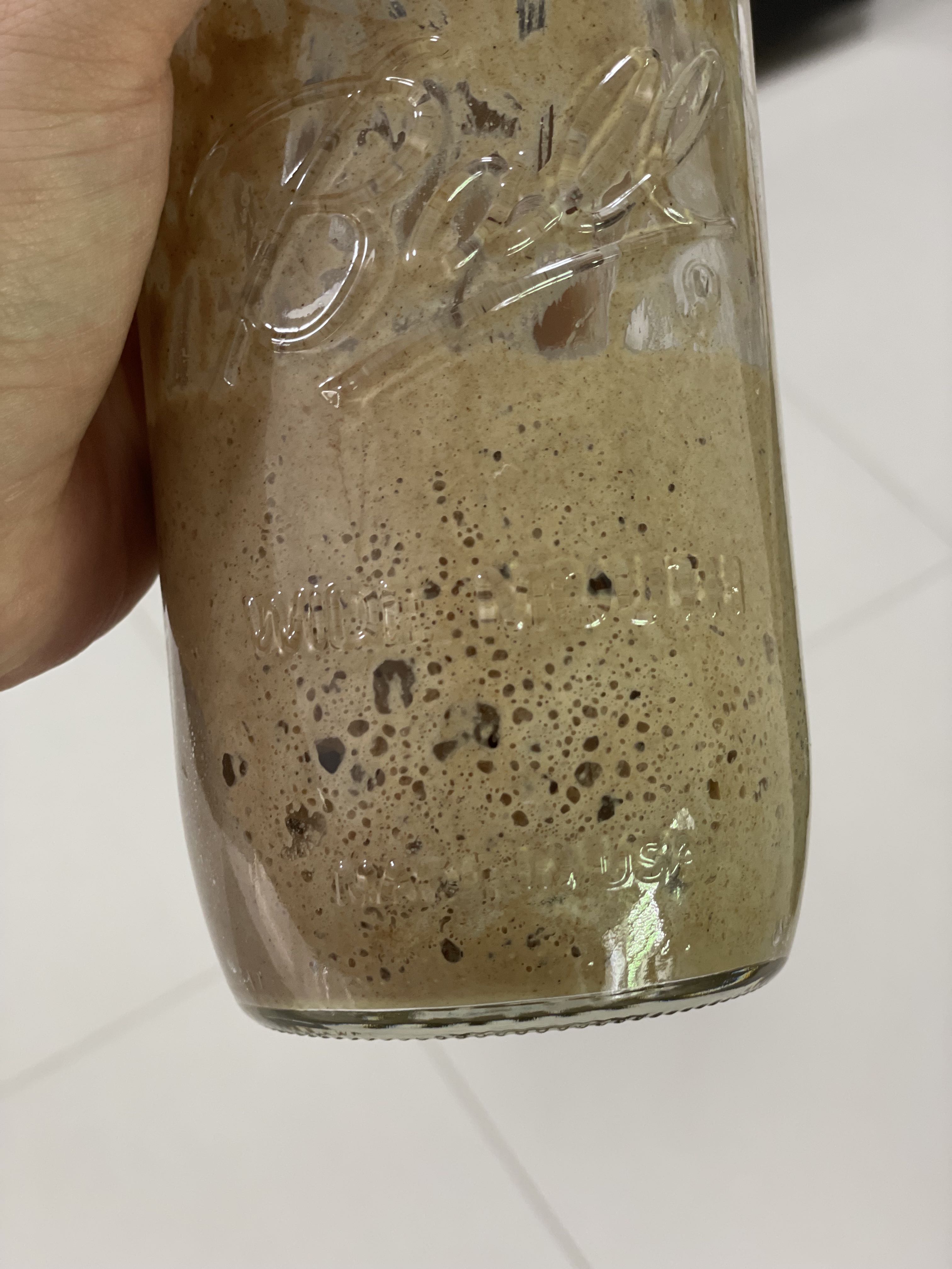 100 rye sourdough starter, Food & Drinks, Packaged & Instant Food on