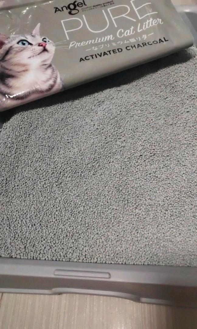 Angel pure premium cat litter outlet